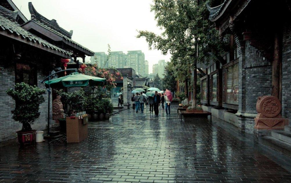 小乌龟逃亡记